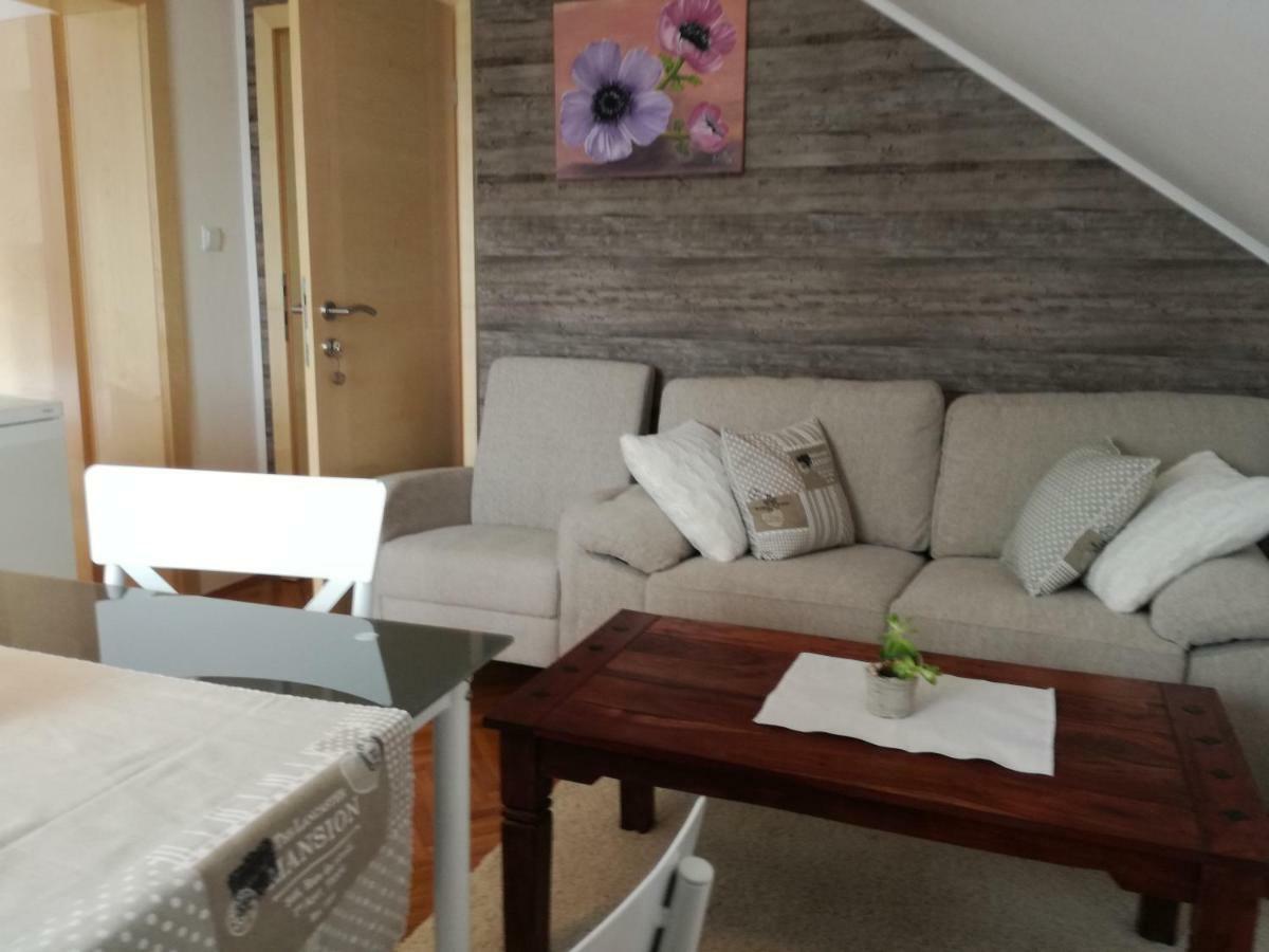 Apartman Jasmin Διαμέρισμα Čatrnja Εξωτερικό φωτογραφία