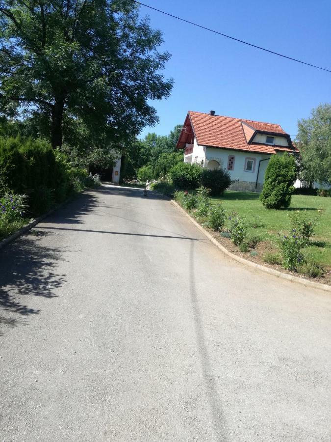 Apartman Jasmin Διαμέρισμα Čatrnja Εξωτερικό φωτογραφία