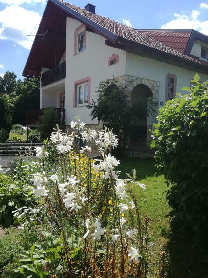 Apartman Jasmin Διαμέρισμα Čatrnja Εξωτερικό φωτογραφία